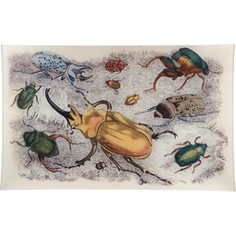 Beetles