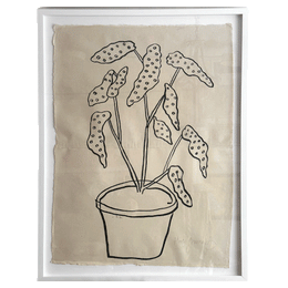 "Spotted Plant"