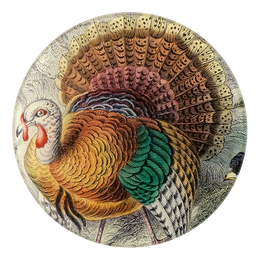A five inch round glass plate with a depiction of an American Wild Turkey, featuring a collage of vintage print designs