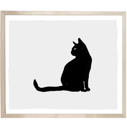 Black Cat