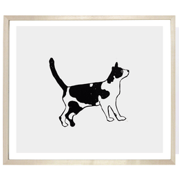 Black & White Cat with Tail Up