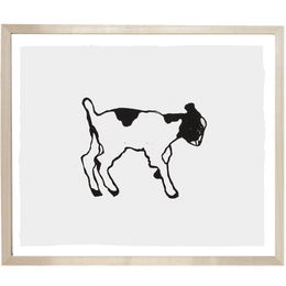Kid Goat