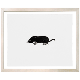 Mole
