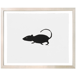 Mouse 1