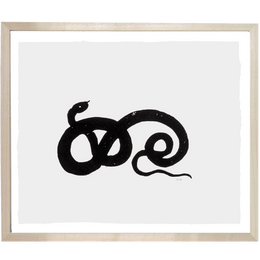 Snake 1