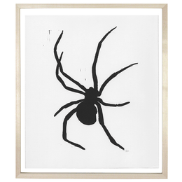 Spider 2
