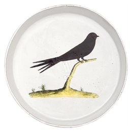 Swift Dish