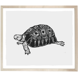 Turtle