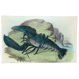 Blue Lobster