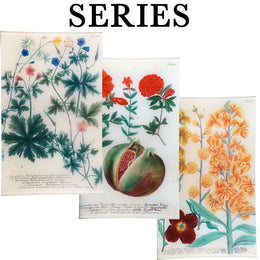 18th Century Botanicals