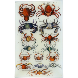 Crabs VI