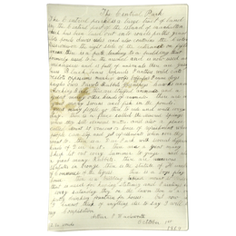 Central Park Essay