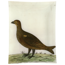 #4 - Game Hen