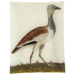 #3 - Female Bustard