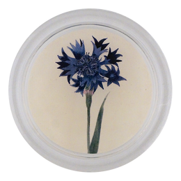 Blue Bottle