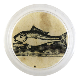 Iconic - Fish