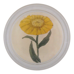 Yellow Flower