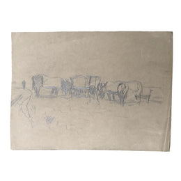Evert Rabbers Animal Drawing 46