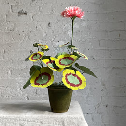 The Green Vase Potted Mini Geranium