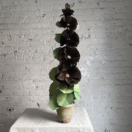 The Green Vase Potted Black Hollyhock