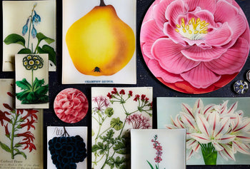 Glass decoupage trays with flowers, fruits, veggies on a table