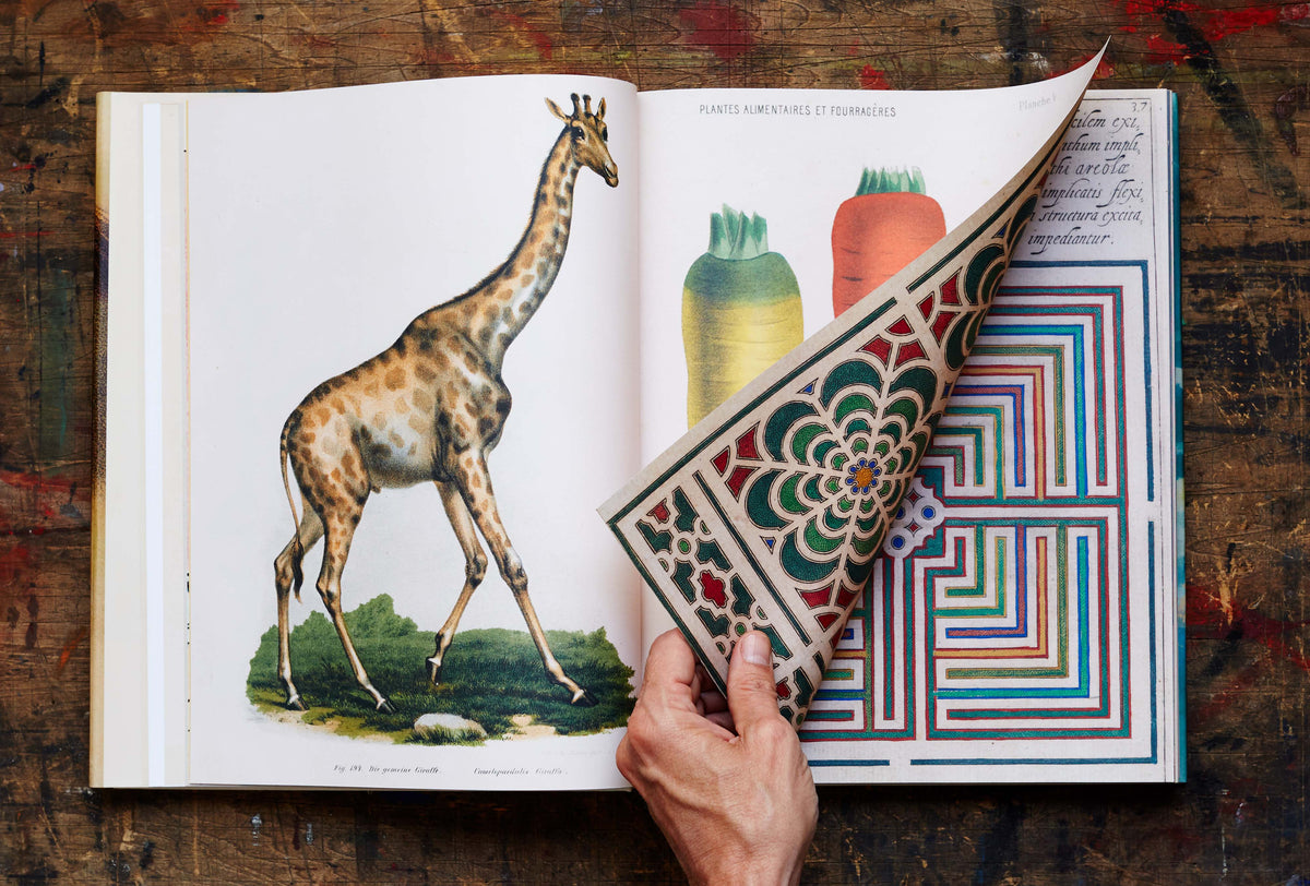 John Derian Picture Book on table with hand flipping the table