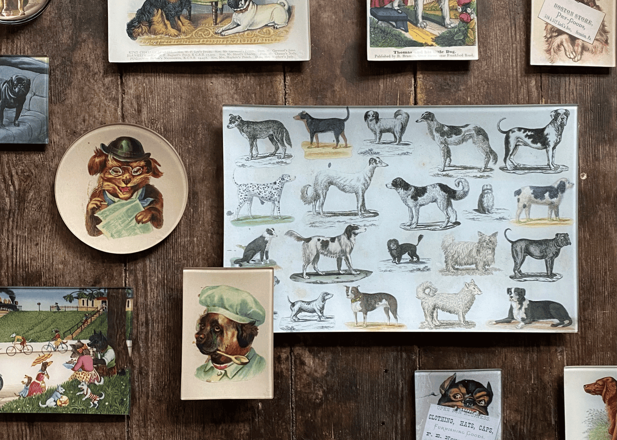 Overhead photo of John Derian decoupage including various sized trays with dog illustrations and antique prints  