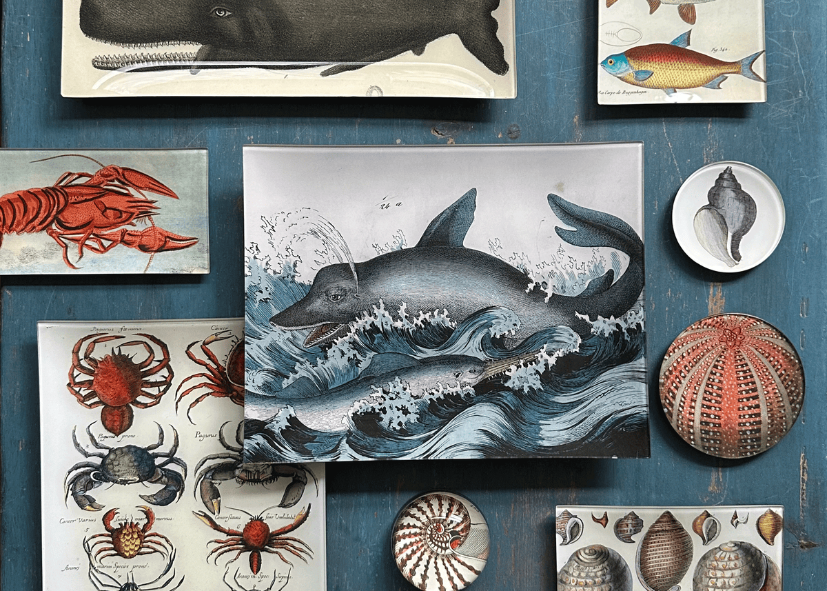 Sea Creatures