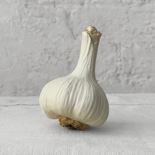 Porcelain Tall White Garlic