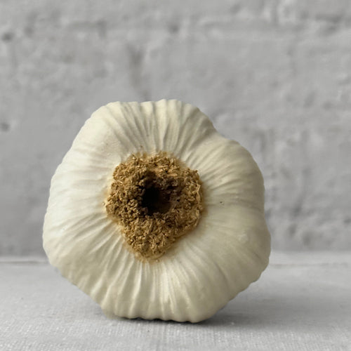 Porcelain Tall White Garlic