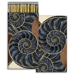 Nautilus