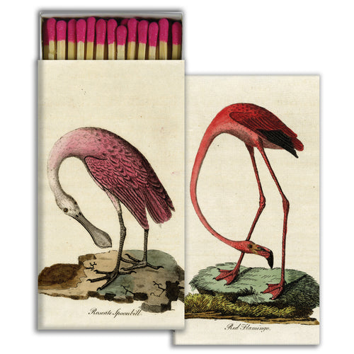 Flamingo & Spoonbill
