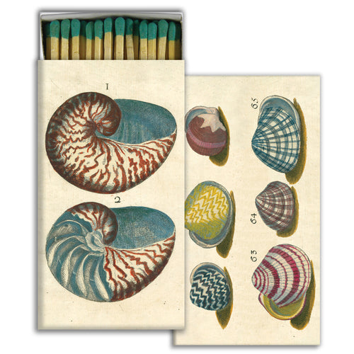 18th Century Shells