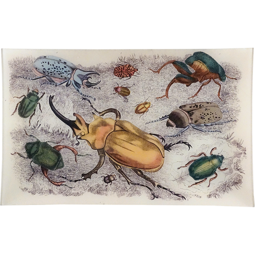 Beetles