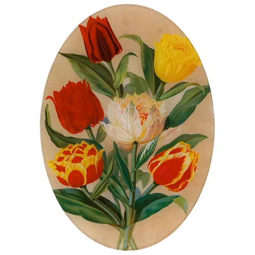 A ten inch by fourteen inch vertical glass plate featuring a bouquet of colorful tulips with red, yellow, and white petals. 