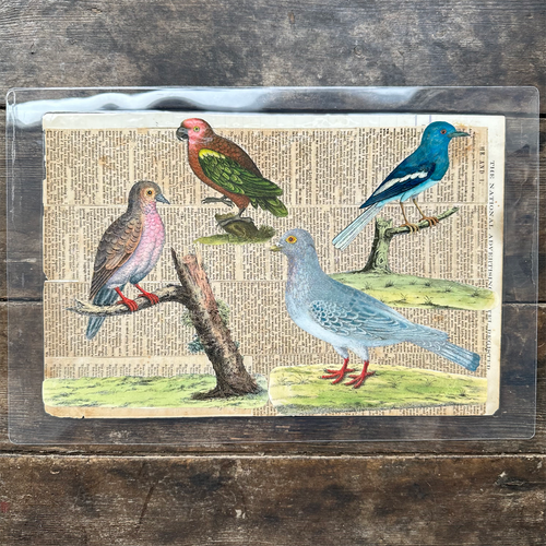 One of a Kind Collaged Birds & Flowers Mat (2-14)