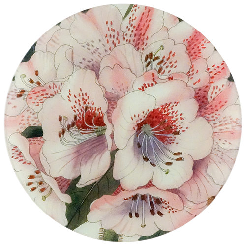 An eleven inch round glass plate with pink and white floral design on a white background.
