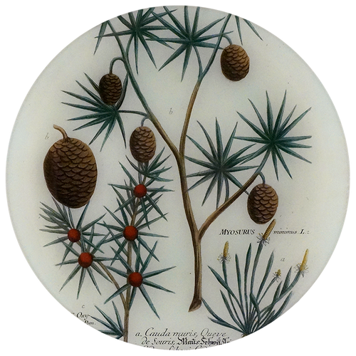 A five inch round plate featuring a handblown glass design with collaged paper that includes images of pine cones and foliage.