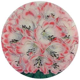 An eleven inch round glass plate with pink floral design on a white background.