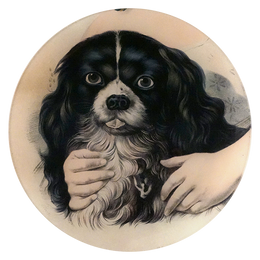 An eleven inch glass plate featuring a black and white image of a dog with hands around the dog. 