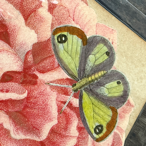 One of a Kind Collaged Pink Flower & Butterly Mat Pair (2-17 & 2-19)