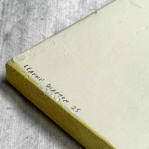 Leanne Shapton "Terms of Endearment" Painted Wooden Book
