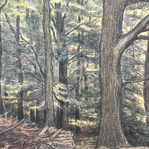 Evert Rabbers Early 20th-century Landscape Drawing (ERL12)