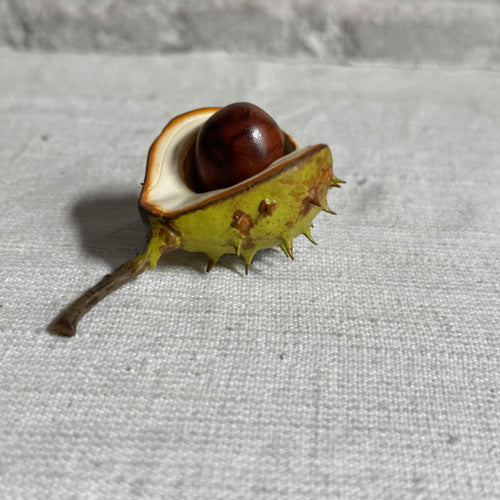 Porcelain Baby Horsechestnut Half Shell with Removable Nut & Stem