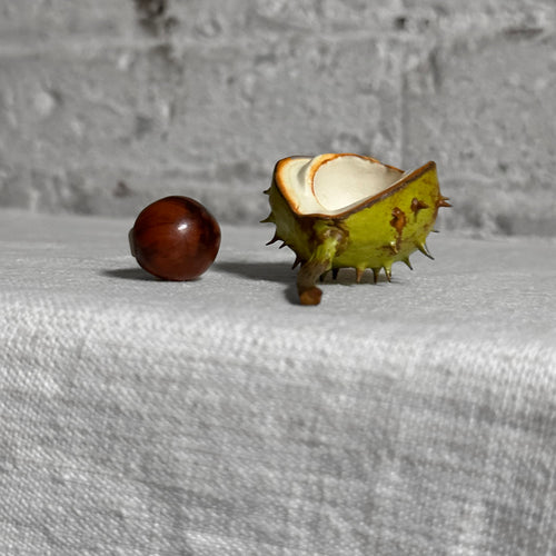 Porcelain Baby Horsechestnut Half Shell with Removable Nut & Stem