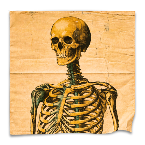 Skeleton Cotton Bandana