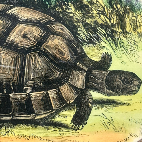 One of a Kind Collaged Turtle Table Mat (#614)