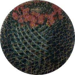 A 16-inch round glass plate with a close up image of a cactus and flower design.