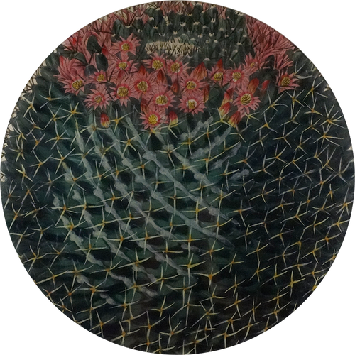 A 16-inch round glass plate with a close up image of a cactus and flower design.