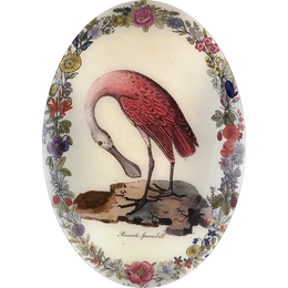 A thirteen inch by eighteen inch vertical convex oval glass tray with a spoonbill in the center looking down with a floral boarder. 
